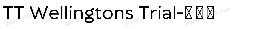 TT Wellingtons Trial字体转换
